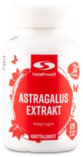 Astragalus Ekstrakt
