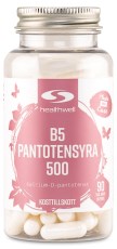Healthwell B5 Pantothensyre 500