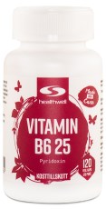 Vitamin B6 25