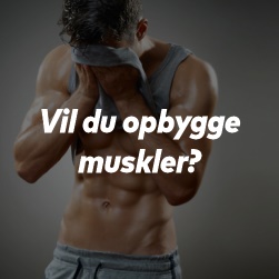 Vil du opbygge muskler?